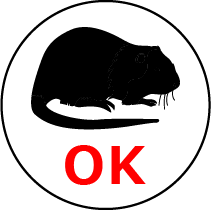 ネズミ：OK